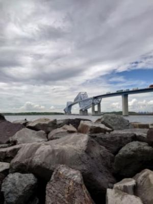 Przykład 2 zdjęcia zrobionego smartfonem Xperia 1 z użyciem teleobiektywu