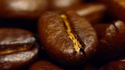 Przykład zdjęcia zrobionego smartfonem Xperia 1 VII w zbliżeniu