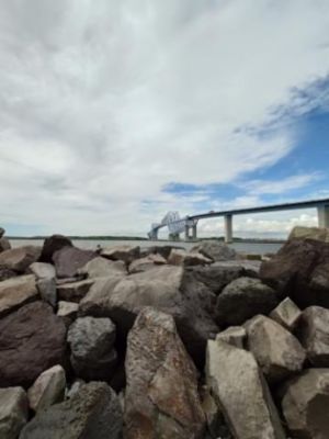 Przykład 1 zdjęcia zrobionego smartfonem Xperia 1 VI z użyciem teleobiektywu