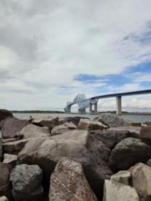 Przykład 2 zdjęcia zrobionego smartfonem Xperia 1 VI z użyciem teleobiektywu