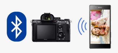 Buy Alpha 7 III with 35mm full-frame image sensor | Body Only 