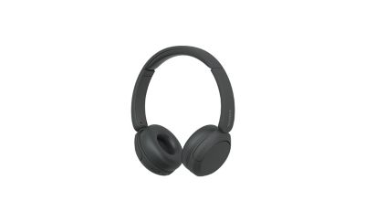 Buy SONY WH-CH520 Bluetooth Headphone with Mic (30mm Driver, On Ear, Taupe)  Online - Croma