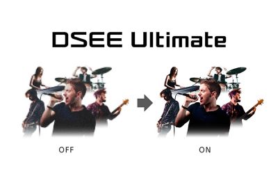 The DSEE Ultimate logo.
