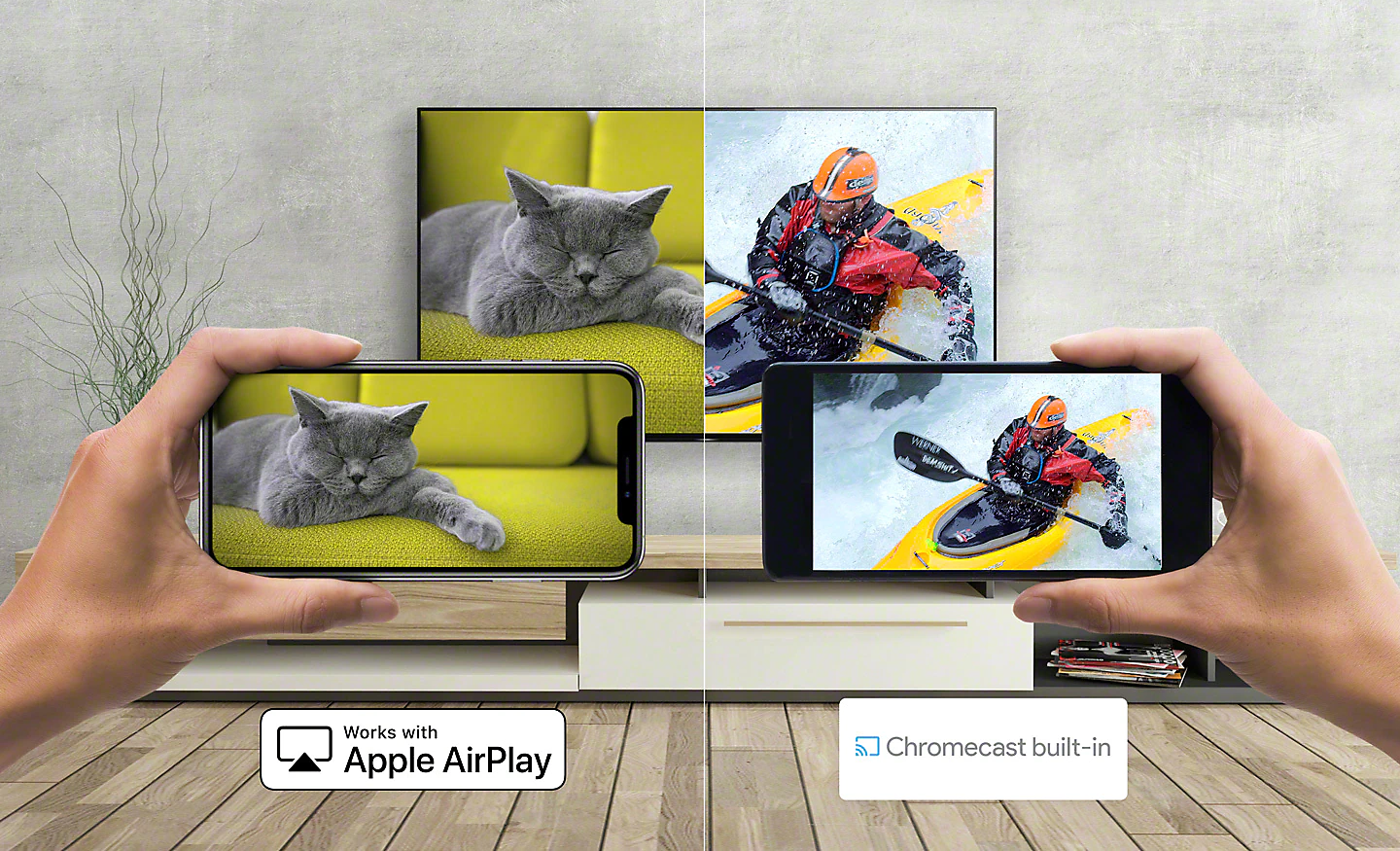Bilder von Katze und Kanuist vom Smartphone auf den Fernseher übertragen