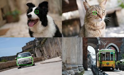 Imágenes de ejemplo que muestran objetivos reconocibles por la IA de la cámara: perros, gatos, autos, trenes