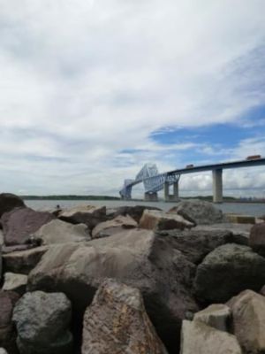 Przykład 2 zdjęcia zrobionego smartfonem Xperia 5 III z użyciem teleobiektywu