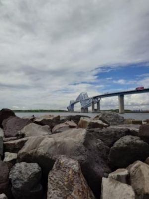 Przykład 2 zdjęcia zrobionego smartfonem Xperia 5 V z użyciem teleobiektywu