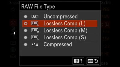 Imagen del producto que muestra el menú de selección de imagen RAW en la pantalla LCD
