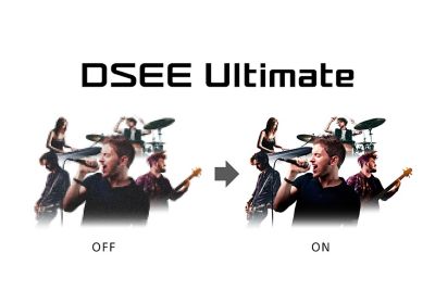 Logo technologii DSEE Ultimate