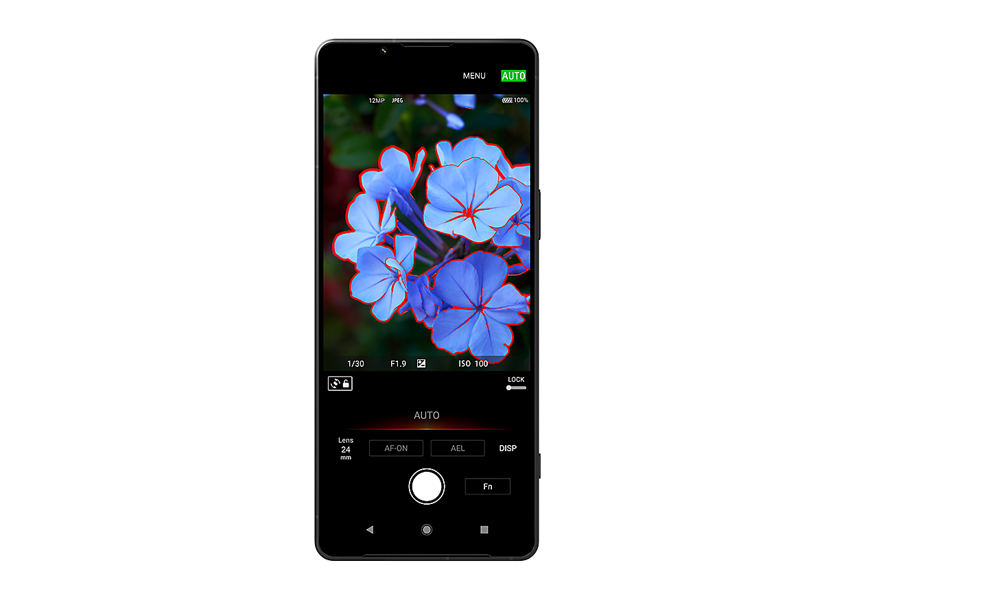 Na obrazovke smartfónu Xperia 1 V sa zobrazuje obrázok kvetov, používateľské rozhranie so stupňovaním zaostrovania