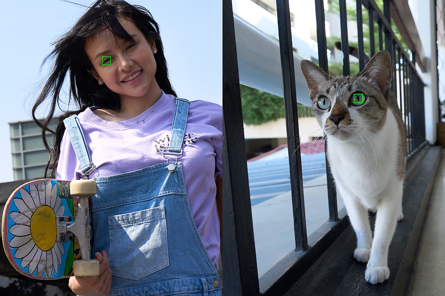 一位滑板玩家和一隻貓的肖像──每個主體的一隻眼睛上都有一個綠色的小正方形，表示人眼追蹤對焦功能