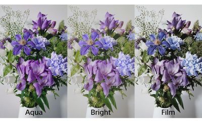 Comparación de fotos capturadas con tres ajustes diferentes de la cámara de un smartphone que muestra un ramo de flores violeta en un jarrón blanco