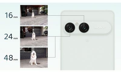 Módulo de la cámara del smartphone Sony Xperia 10 VIII que muestra ejemplos de distancias focales de 16, 24 y 48 mm con fotos de un perro blanco