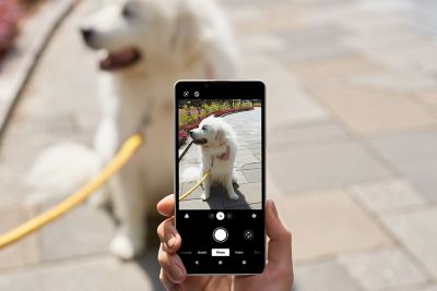 Una mano sostiene un smartphone haciendo una foto de un perro blanco con correa al aire libre, visible bajo la intensa luz solar.