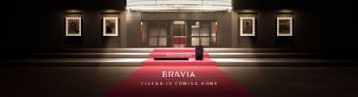 紅色地毯上放著 BRAVIA Theatre System 6 及 BRAVIA Theatre Bar 6，產品的背景為影院入口。