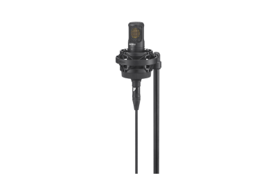Sony C 80 - Best Condenser Microphone for Vocals, Singing & Podcast