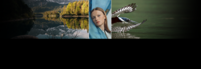 The Choice of Creators