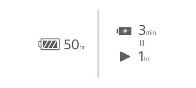 Extended battery and convenient quick charging