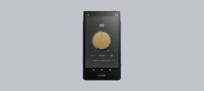 Sony Store Online Singapore | NW-ZX707 Walkman® ZX Series Portable 