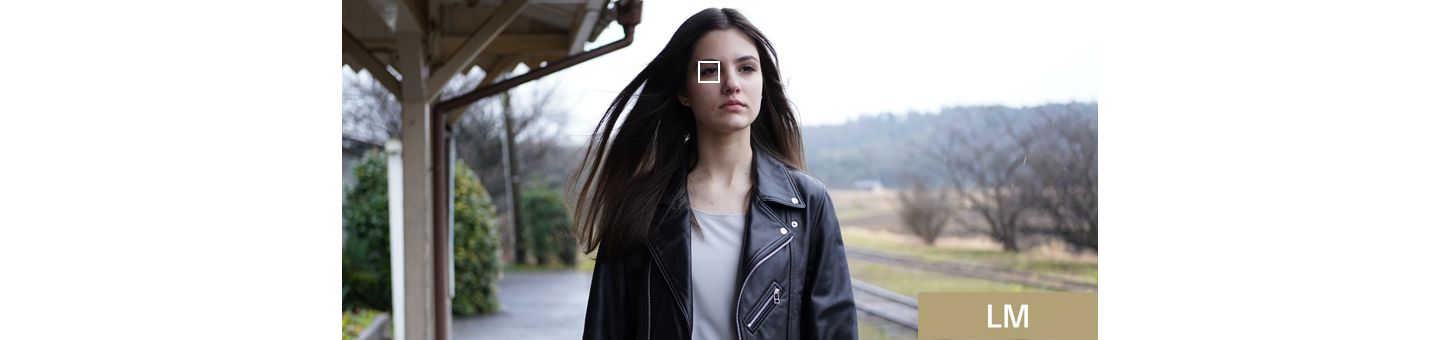 Mô-tơ tuyến tính kép hỗ trợ lấy nét tự động nhanh, chính xác và êm