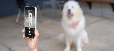Capture every moment effortlessly with the Shutter button
