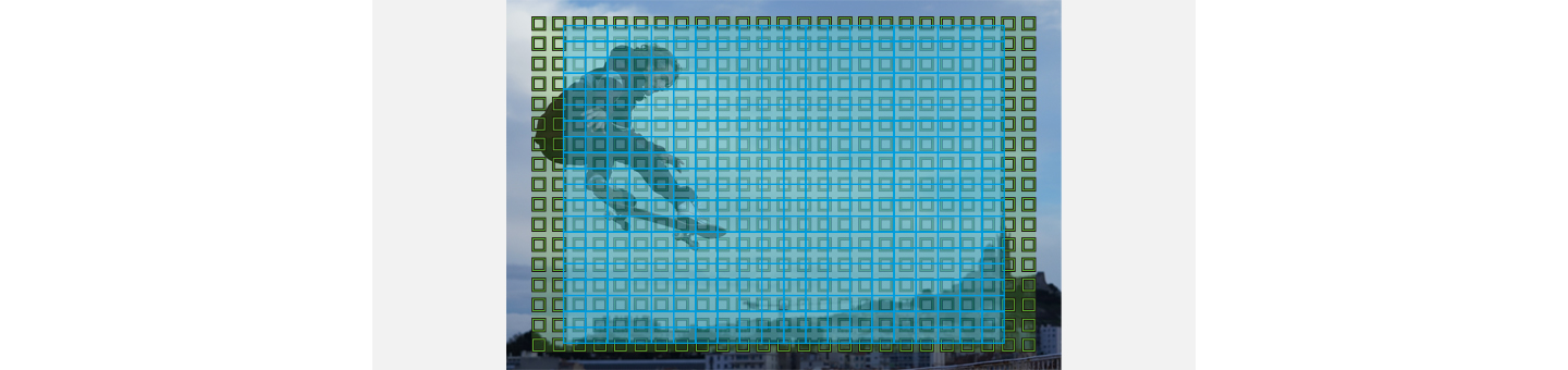 Hiệu suất AF chưa từng có chính là nhân tố chính để có những bức ảnh đẹp