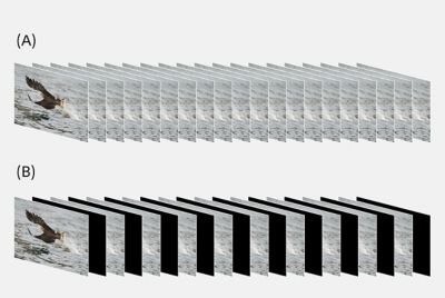 Image sequences with and without blackouts