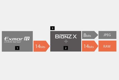 14-bit RAW output with rich tonal gradation