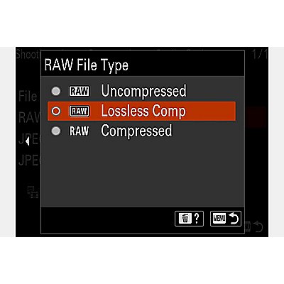 "RAW File Type" camera menu with cursor on "Lossless Comp"