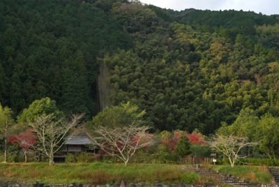 Mountain and trees