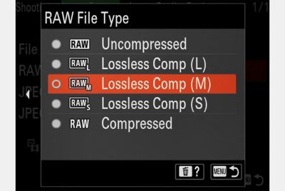 Screen with RAW file type menu displayed
