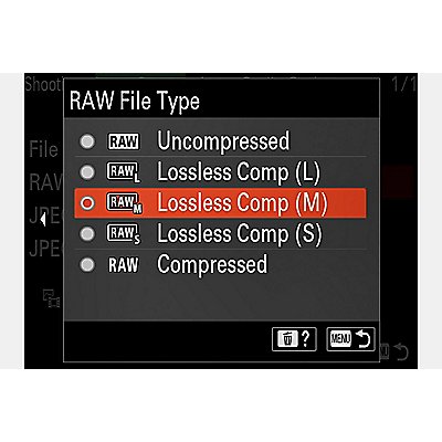 Screen with RAW file type menu displayed