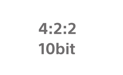 회색 4:2:2 10비트 아이콘