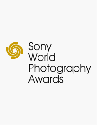 sony e mount lenses full frame