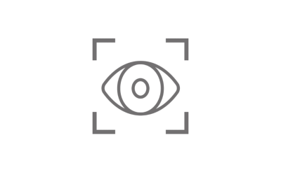 Grey framed eye icon