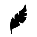 Silhouette image of a feather