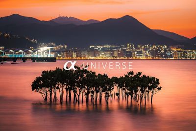 α Universe | 探素更多作品及最新資訊