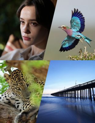 Banner image featuring a leopard, a seascape pier, a portrait of a woman, and a colourful bird, with the text "Explore lenses for your vision”
