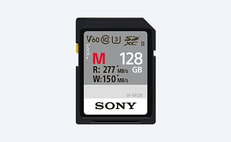 SF-M 시리즈 SD 메모리 카드(블랙)