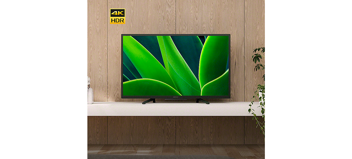 BRAVIA W830K/W880K on white table with flowers in pots and screenshot of leaves