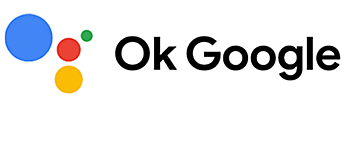 Logotipo de OK Google