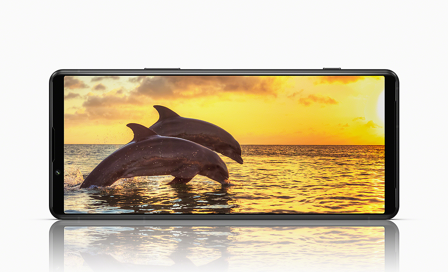 Xperia 5 IV im Querformat, das einen Sonnenuntergang mit Delfinen zeigt, die aus dem Meer springen