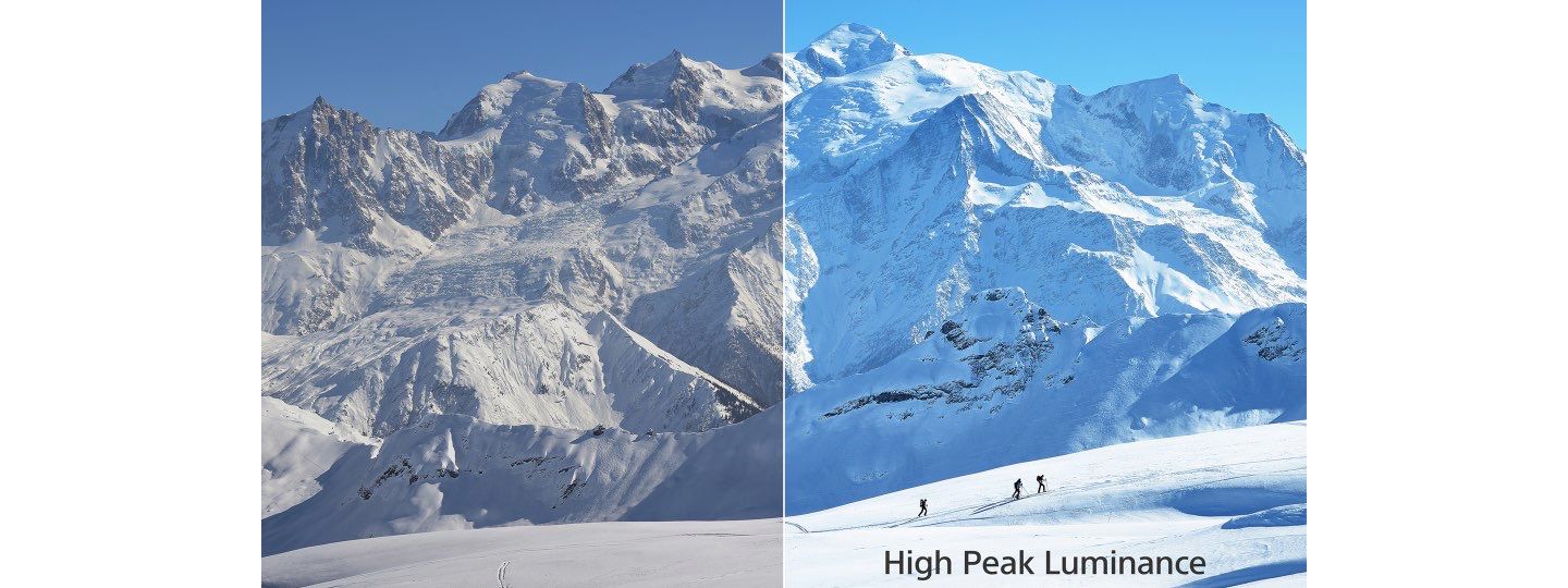 Tươi sáng như thế giới tự nhiên rực rỡ và sống động.