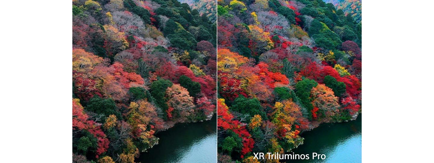 Hơn một tỷ màu sắc sống động như thật.