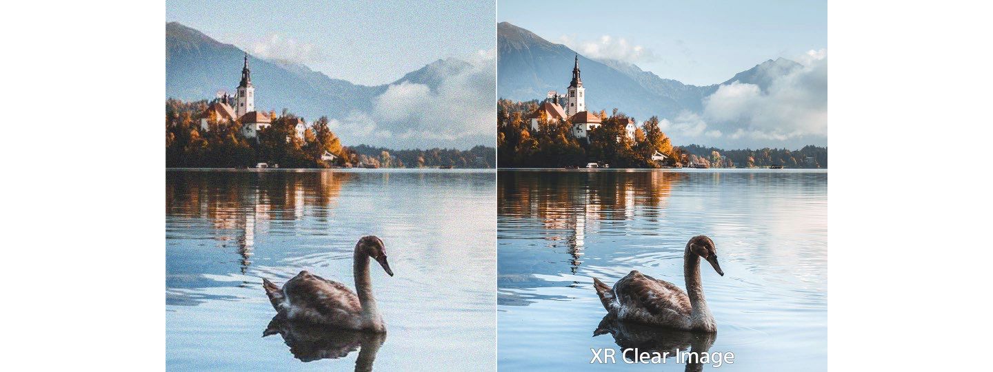 Hình ảnh sắc nét. Tinh tế và chân thực.