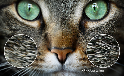 Comparaison de gros plans de la fourrure d’un chat. Le côté gauche est flou; le côté droit montre des brins de poils détaillés grâce à la conversion ascendante XR 4K.