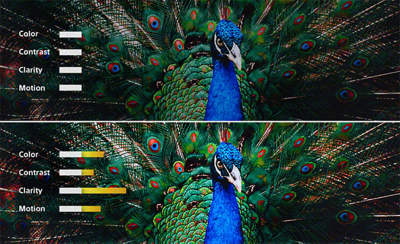 Comparaison d’images d’un paon. L’image du haut montre l’original avec des barres indiquant la couleur, le contraste, la clarté et le mouvement; l’image du bas, traitée par le processeur XR, présente une amélioration de la couleur, du contraste, de la clarté et du mouvement.