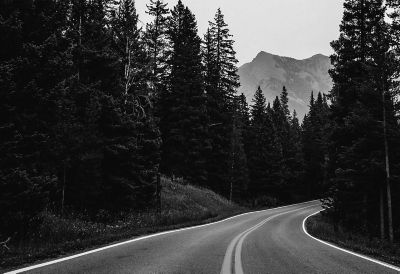 View of a tree-lined road with mountains in the distance. 