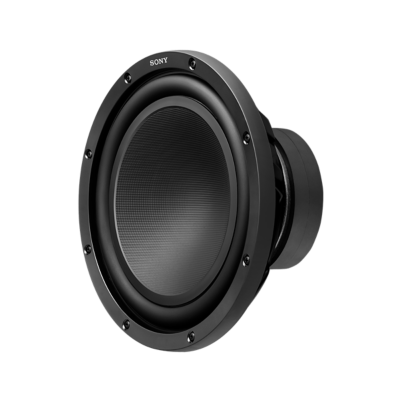 Sony 12 inch store speaker