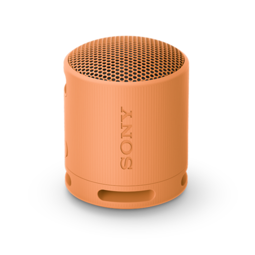 XB100 Portable Wireless Speaker